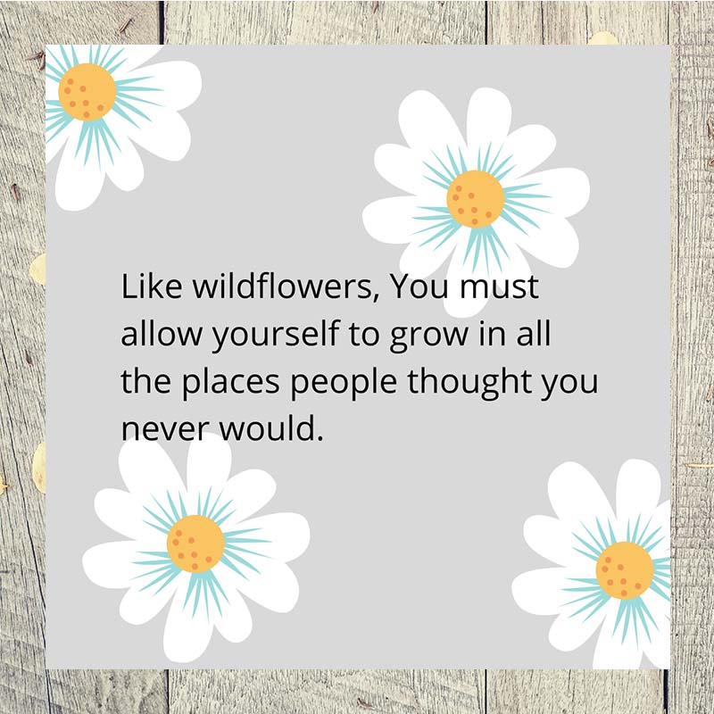 Like wildflowers, You must allow yourself to grow in all the places people thought you never would