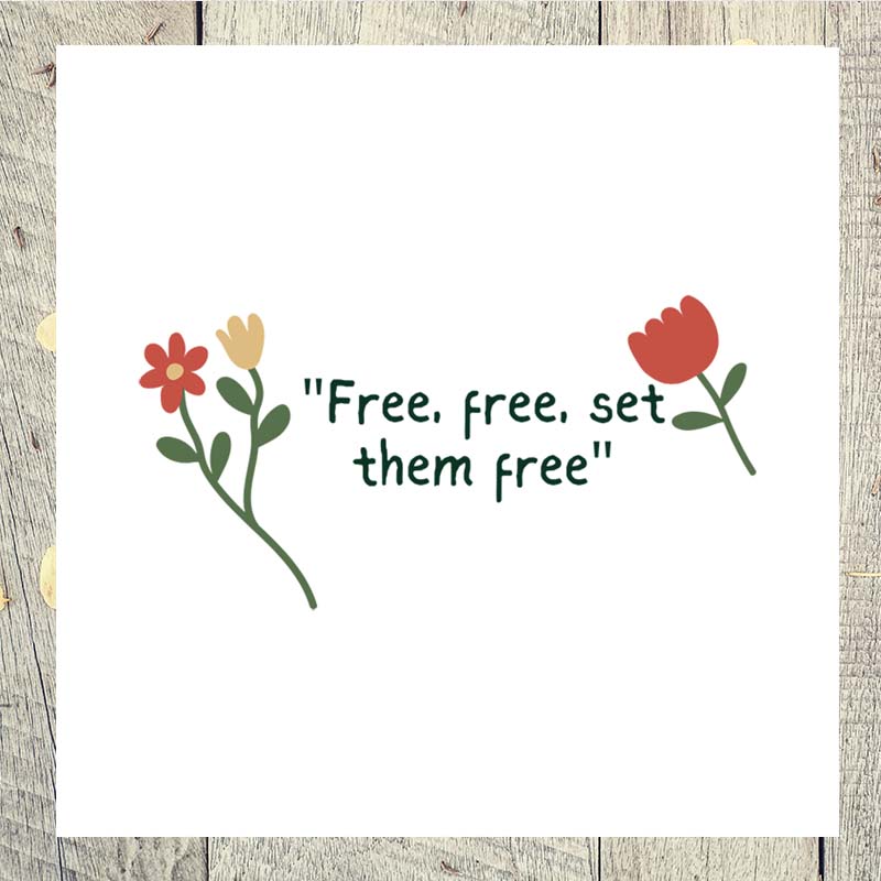 free free set them free